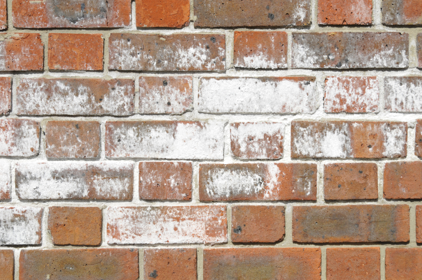 iStock_000025643349_Small