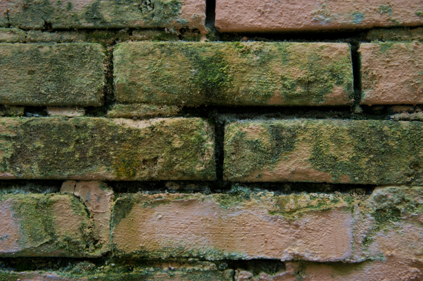 iStock_000037170766_Small